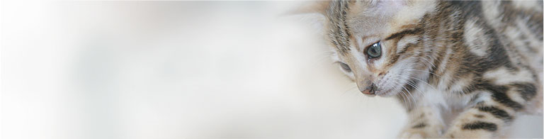 Slideshow Image 1