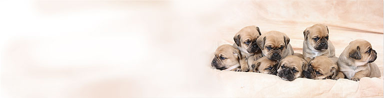 Slideshow Image 2