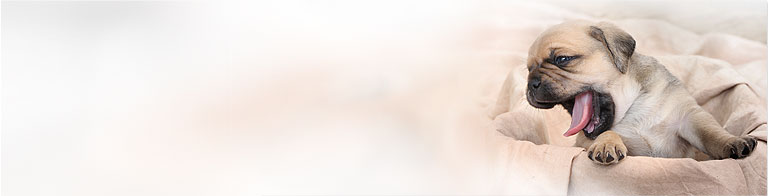Slideshow Image 3