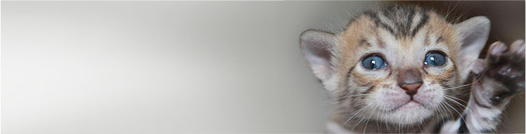 Slideshow Image 4