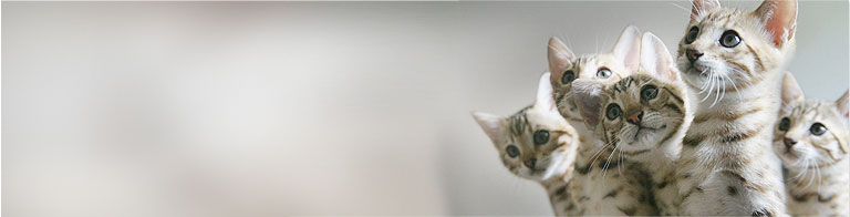 Slideshow Image 5