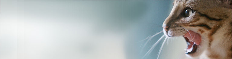 Slideshow Image 6