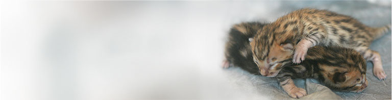 Slideshow Image 7